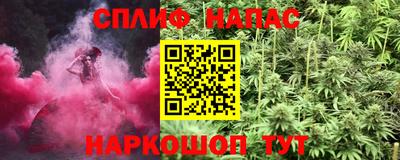 спиды Будённовск