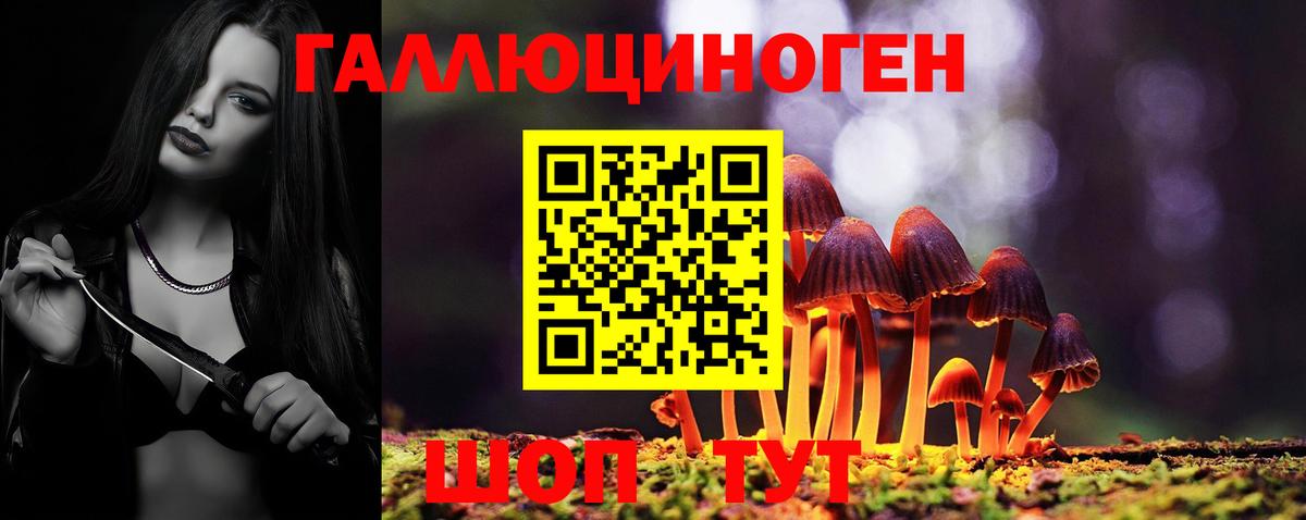 Галлюциногенные грибы Cubensis Надым